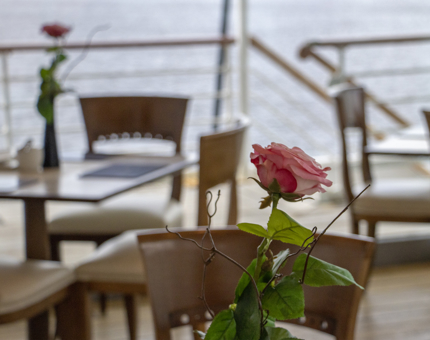 The Royal Deck Tearoom set with tables, chairs and a pink rose in a vase on a table.