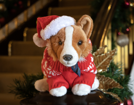 A cuddly Corgi dog toy wearing a red knitted jumper and a Santa hat. 