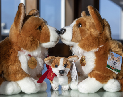 Three cuddly Corgi dog toys. Two are nose-to-nose and a miniature cuddly Corgi sits underneath. 