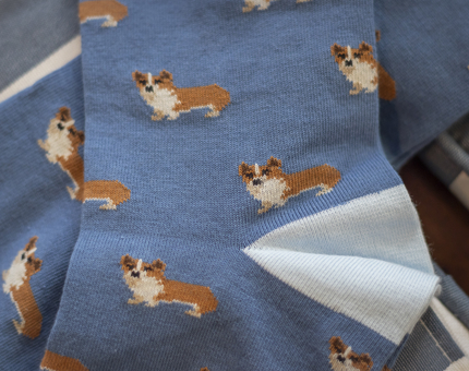 Blue socks with a corgi pattern.