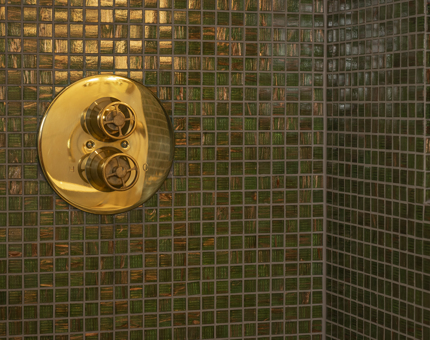 A close-up of green tiles and a brass shower fitting. 