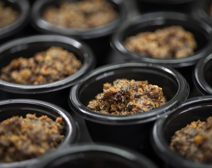A closeup of Christmas puddings being prepared in their individual pots.