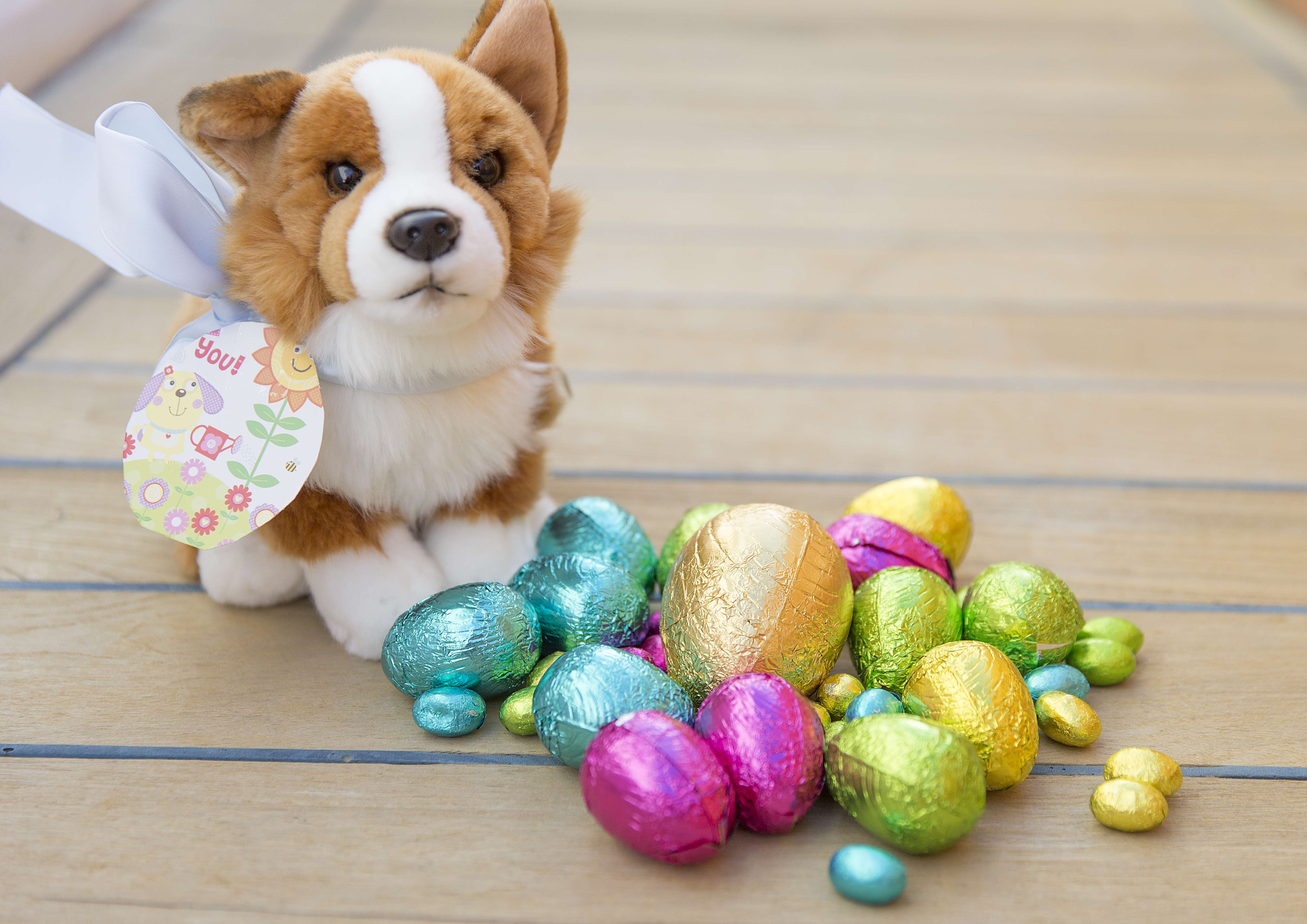 Easter Corgi