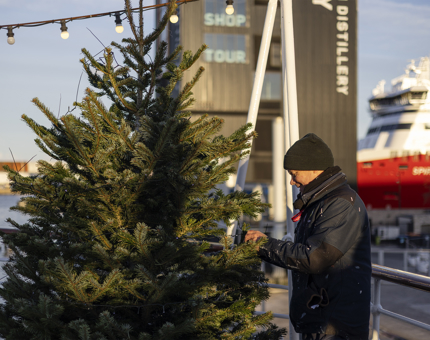 A Christmas tree being put up on the Verandah Deck of Britannia by a Maintenance man. The Port of Leith Distillery is in the background. 