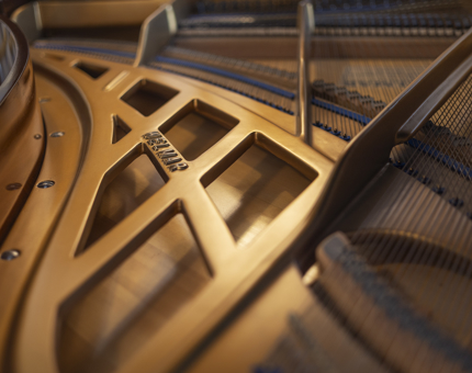 A close up of the inside of a Welmar baby grand piano. 