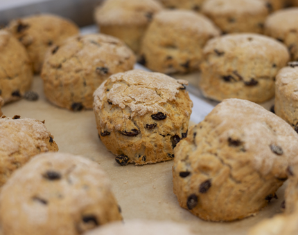 A tray of fruit scones, fresh out of the oven.