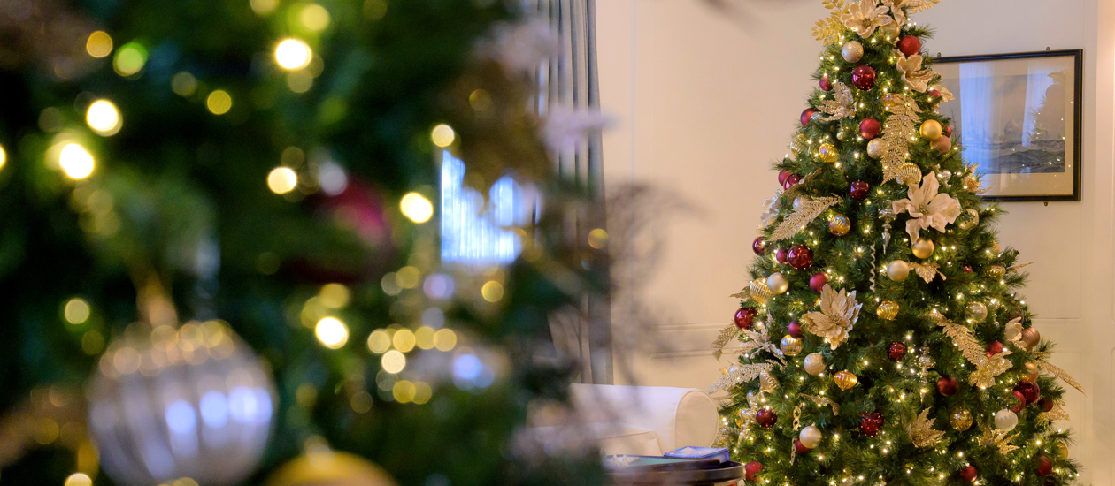 A Christmas tree is decorated in the distance with a blurred close up of a garland in the foreground