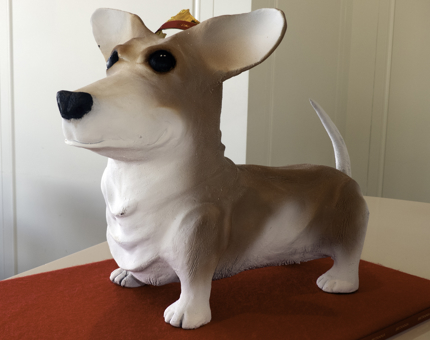 Chocolate corgi