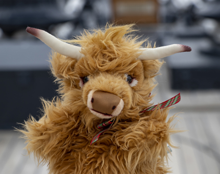 A cuddly Highland Cow hand puppet from the Britannia Gift Shop.