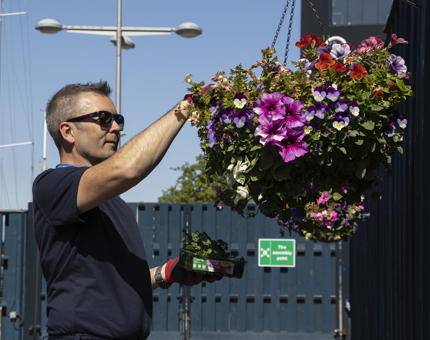 Man arranging a hanging basket of flowers.
