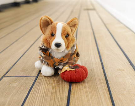 A plush toy corgi is wearing a tartan scarf and has a small pumpkin next to it. 
