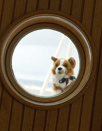 Corgi in the porthole