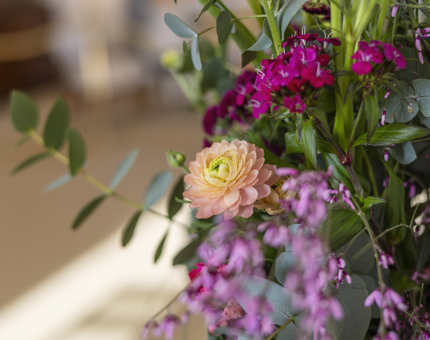 A close-up of pink and purple flowers. 