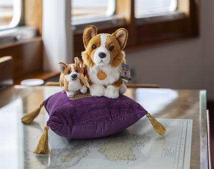 A large and small corgi plush toys sitting on a purple cushion in the Chartroom of The Royal Yacht Britannia. 