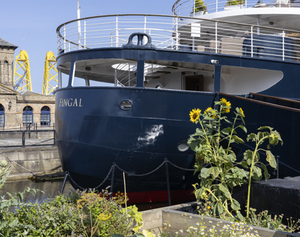 A view of Fingal Hotel from the Quayside Herb Garden in the Port of Leith. There are sunflowers growing.