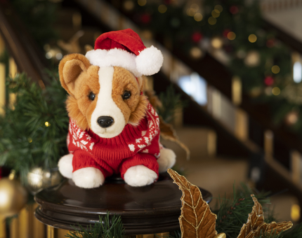 A corgi plush toy dressed in a Christmas jumper and hat aboard The Royal Yacht Britannia. 