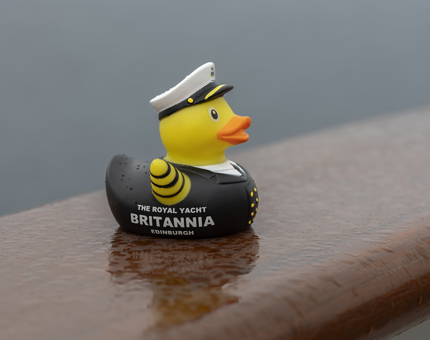An Admiral Royal rubber Duck sits on a handrail in the rain. 
