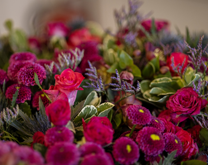 A close-up of flowers in shades of pinks and purples with green foliage. 